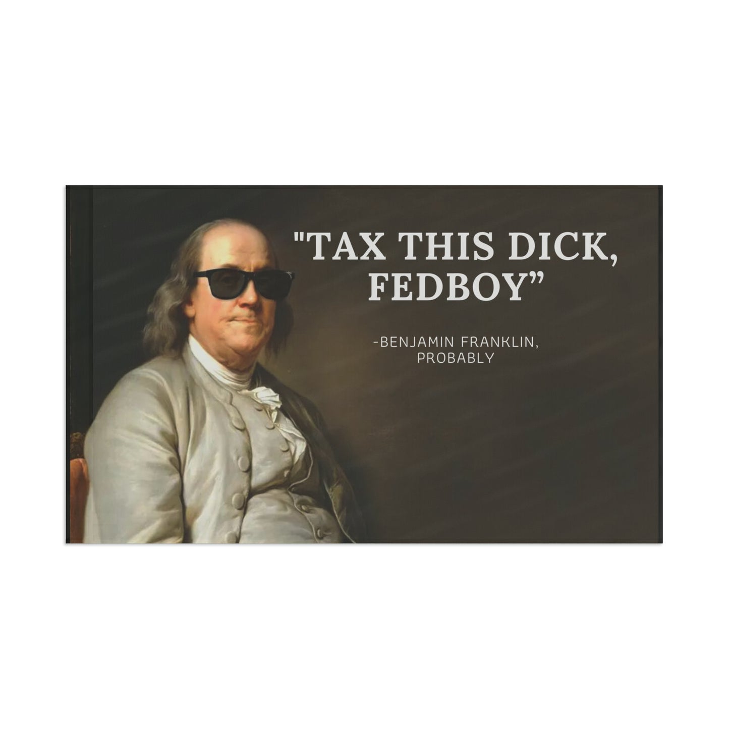 TAX THIS DICK FED BOY BENJAMIN FRANKLIN POLE FLAG