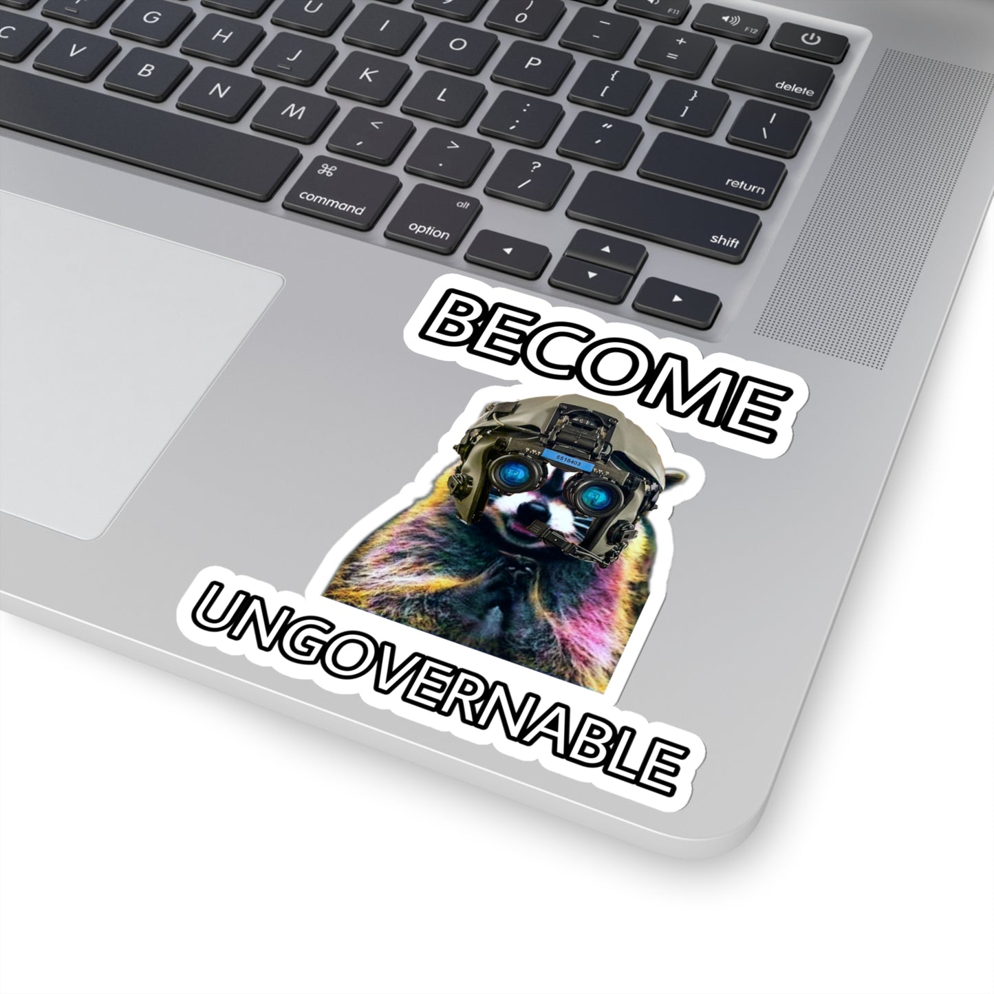 BECOME UNGOVERNABLE RACCOON