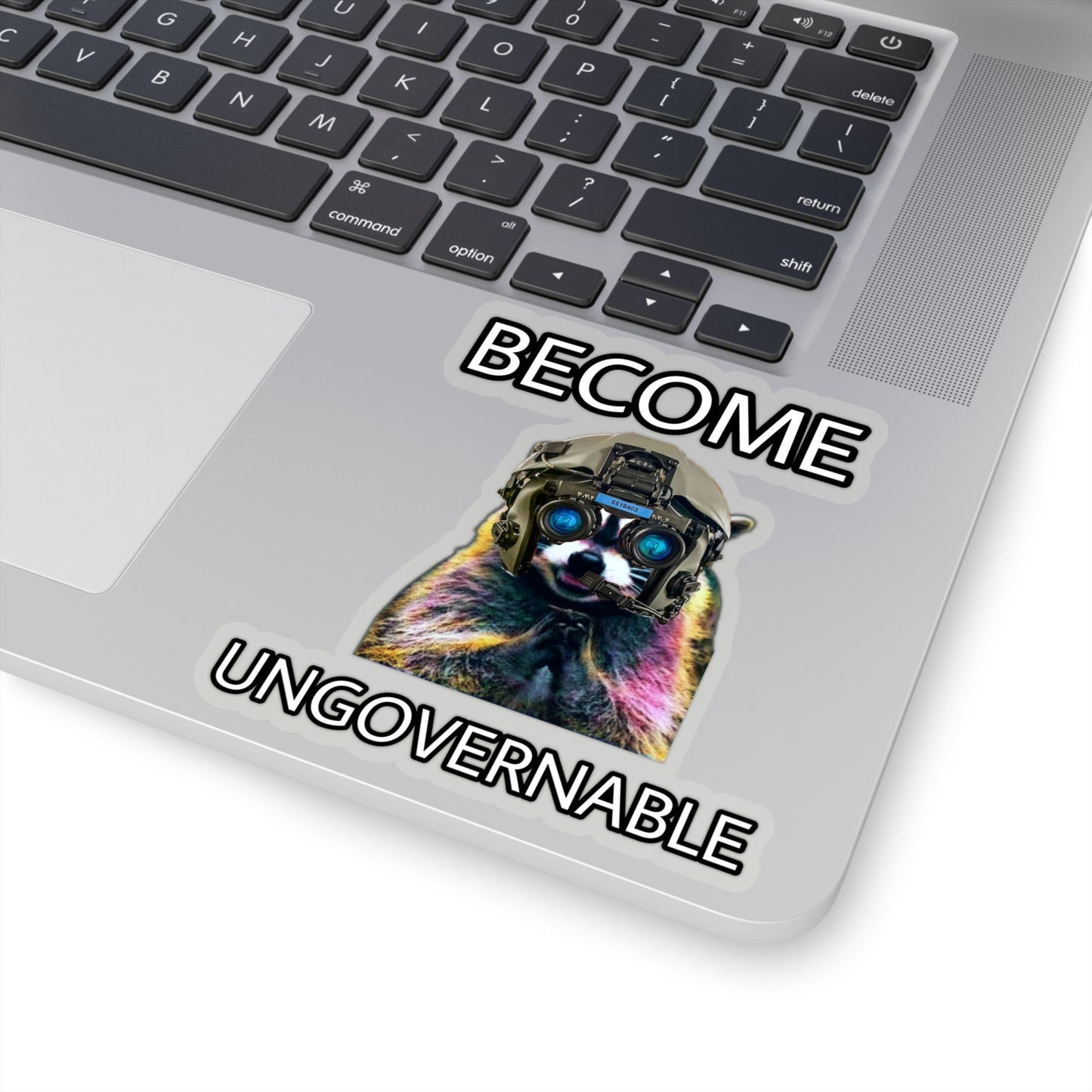 BECOME UNGOVERNABLE RACCOON